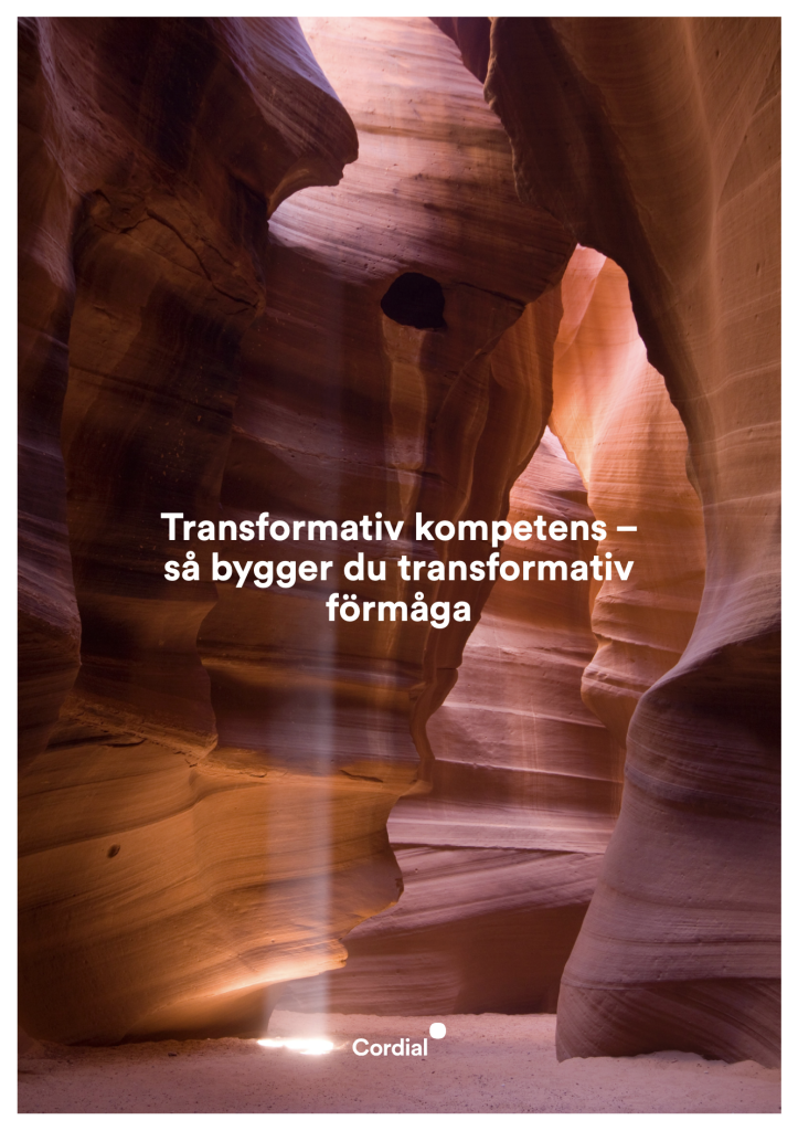 Transformativ kompetens - så bygger du transformativ förmåga
