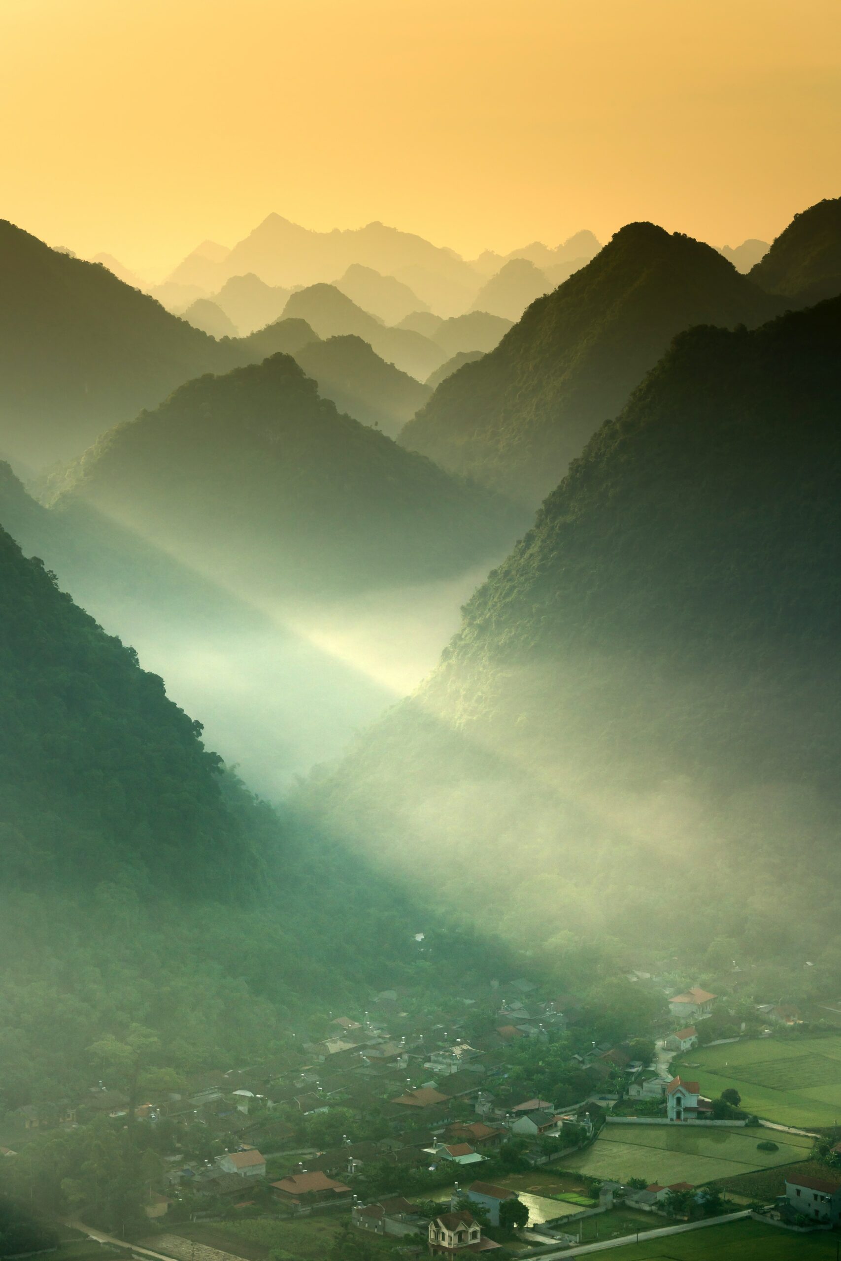 Sustainability