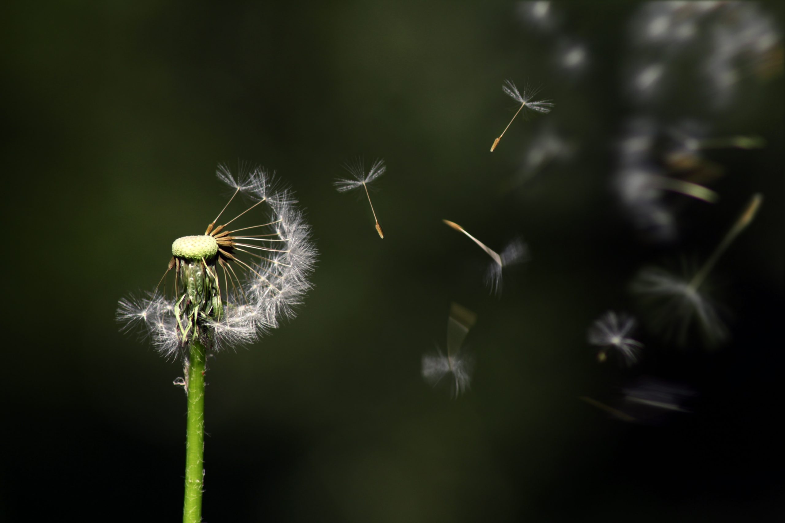 Business Transformation